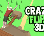 Crazy Flips 3D